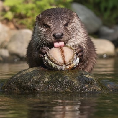 Candlemado7's profile picture. 