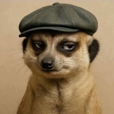 SirRoyzen's profile picture. Personal finance novice #Easyvestor💵🇿🇦Introvert💥Bookworm📖Social Runner!🏃🏿‍♂️Orlando Pirates.