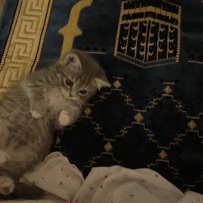 ssomeoonnneeee's profile picture. 