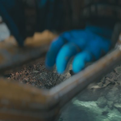 CikoHondo's profile picture. gtfo