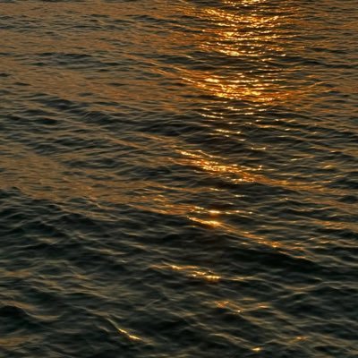 o53o17's profile picture. 