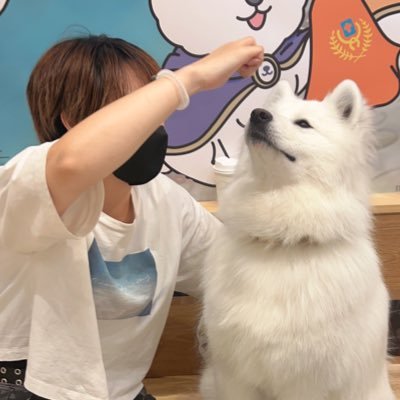 NewBon_'s profile picture. 成人済25⬆️/夢寄りの雑食/地雷自衛◎/雑多/日常/オタ活/マダミス/TCG/取引も🈁/最近🎤多め/新生Ⓜ️💿とハマとナゴヤ(🐴、📿推し)/ステはD4(🔫、⌚️)とアカバネ(🐍)/👓🎀(K学箱/松田最推し)