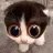 UntellaRBLX's profile picture. just for fun roblox dev since 2016