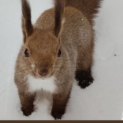 yuu_pooh10's profile picture. オカメインコが好きで筋トレ、ランニングを趣味にしております！
地域的なことや趣味、くだらないことなども発信できれば良いかなと思ってます！
よろしくです！