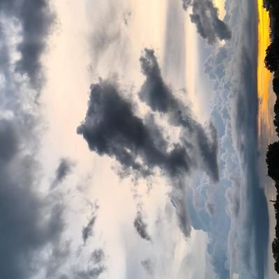 niehii40945's profile picture. One voice. One mission. BJP 🇮🇳Serving the nation with BJP values 💪Wish for India. Vote for BJP.Growth. Integrity. BJP always.Proud to stand with BJP’s missio