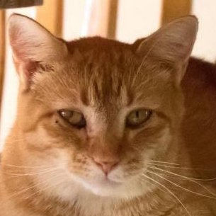 leome02's profile picture. Farmer 👩‍🌾