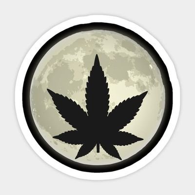 TOP SELF SH*T AVAILABLE
WE ONLY REPLY THROUGH THE LINK BELOW ⬇️⬇️
NOTE : DON'T FOLLOW THIS ACCOUNT