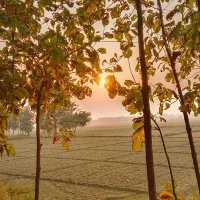 Harsh Pratap Singh (@harshsing92336) 's Twitter Profile