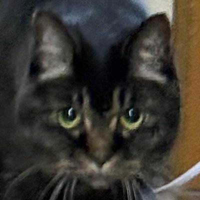 FLUXWX's profile picture. JB64 R5.9.3納車 長距離移動 山梨 長野 富山近辺ウロウロ