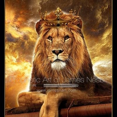 arsalaan_ghori's profile picture. independent sports analyst  Unpopular analysis on Pakistan cricket| world cricket

loyalty is rare,if you find keep it up 
..

Media personality