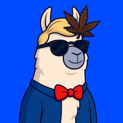 BerlinTechLama's profile picture. ♻ Green coder | 🦙 LamaLabs backend wizard | Berlin vibes 🚴‍♂ @LamaLabsOrg