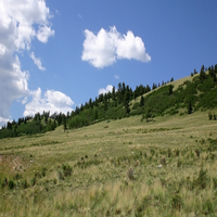 HiroshiYos80186's profile picture. 現在資格取得を目指している。行動力がある、コレクターで、マラソン、ミニマリスト、ショッピング、遊園地などを通じて自分を表現しています。