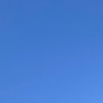 P8A95's profile picture.