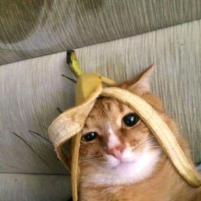 DuungGae_0's profile picture.