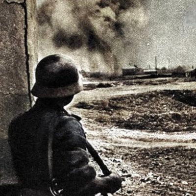 SuckItYellen's profile picture. 