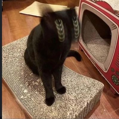 naganaihimajin's profile picture. 人生と言うゲームをプレイしてます