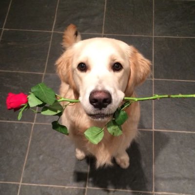 SJ92vk_'s profile picture. 