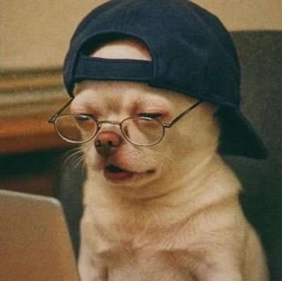 zon0482's profile picture. Money Master 💰🥇🏆