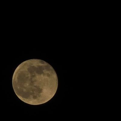 preethx_ms_07's profile picture. 