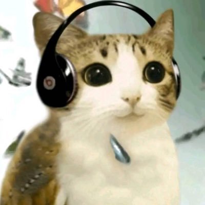 sparkroom5's profile picture. Degen on #Sol English and Chinese are not my language, but I can understand some meanings.