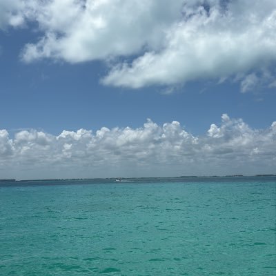 wollinator98's profile picture. 