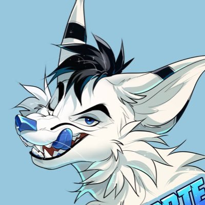 30 • Fox. Lift. Rave. Repeat. 🦊🎶 • 🪡 @mixedcandy pfp: @M4G55