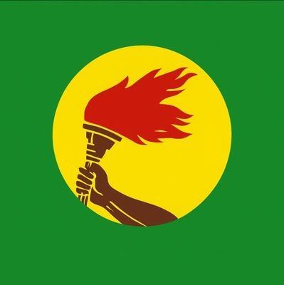 Merdi_Mfutu's profile picture. 