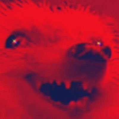 HH_hedgehog's profile picture. We can’t expect God to do all the work.