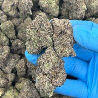 High Society Plug (@highplug54) 's Twitter Profile
