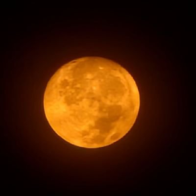 BonitaBaby25's profile picture. 