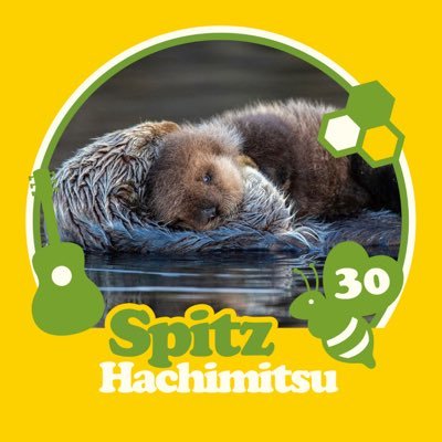 O_9ox's profile picture. Mr.Children✖️spitz ファンクラブ会員♣️ 無言フォロー失礼します🙏