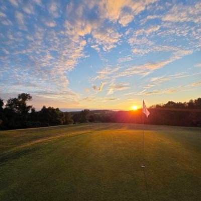 Papa_Pin_Seekin's profile picture. Those look like comfortable shoes, I bet you could walk all day in shoes like those