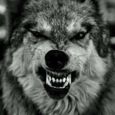 Old guy. Sarcastic takes on sport and society. occasionally funny- well very funny actually. Christian. Opinions are mine alone.