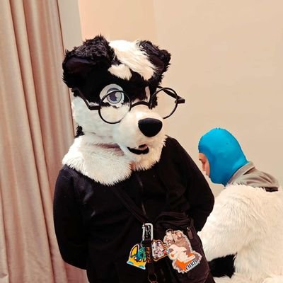 ChrisTheDog_kun's profile picture. about me I'm a border collie 
gay 🏳️‍🌈
always stinky