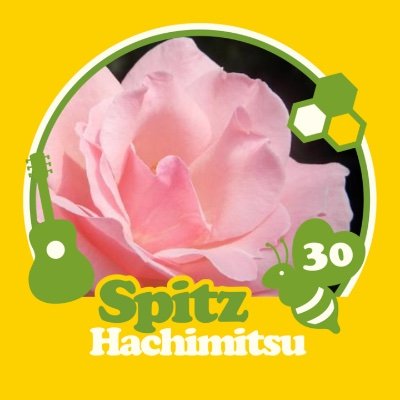 momo19361's profile picture. 映画／音楽／気まぐれ／編み物