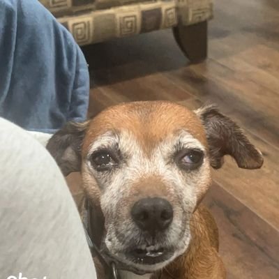 KillopsMas64279's profile picture. 