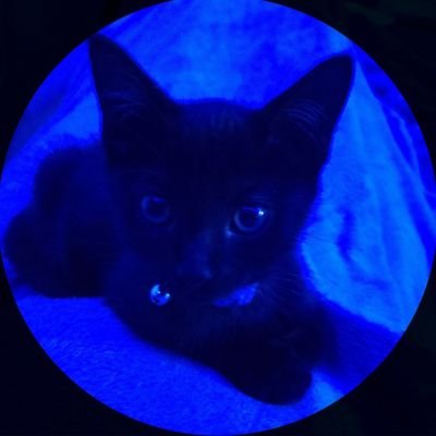 BryceMains's profile picture. 