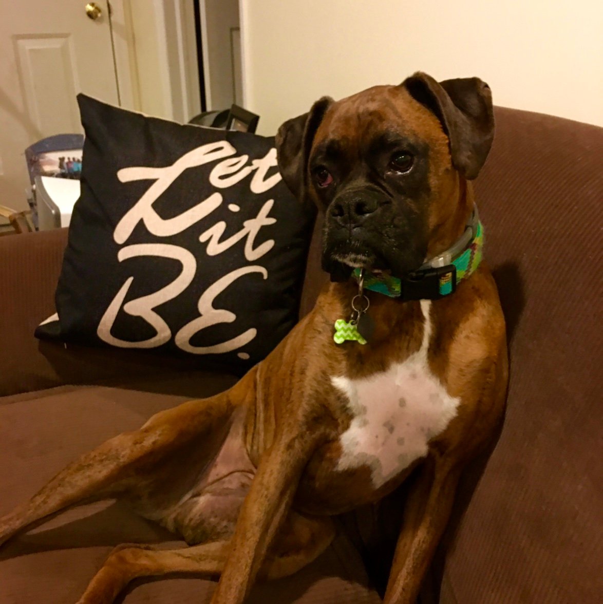 LaurettaLovenut's profile picture. 