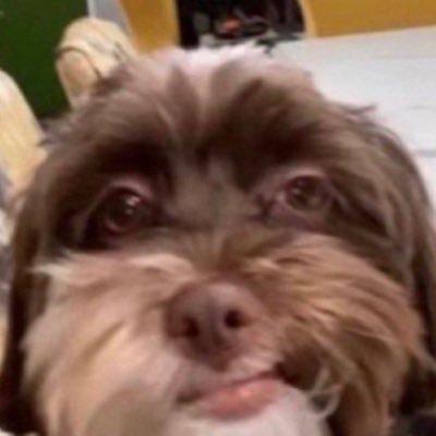 gorgjery's profile picture. 