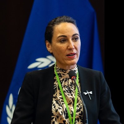 aranzibiapaz's profile picture. Especialista Regional Senior de Género y No-Discriminación. @OITAmerica @ilo - (cuenta personal)