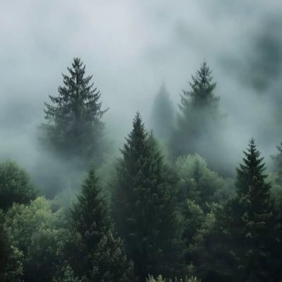 4PMAnak's profile picture. Sports, DIPA’s & Very Average Gaming.