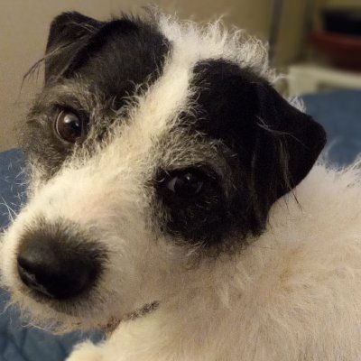 LadyBeatrice45's profile picture. Patriot. Lover of tea... Mayflower descendant.
Psalm 144:1