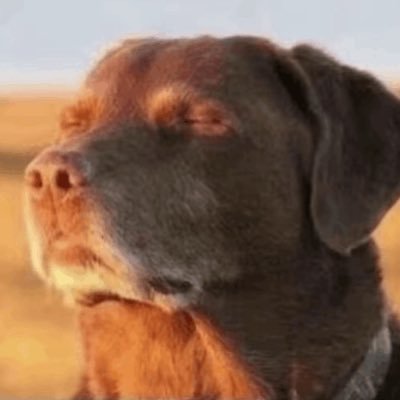 _kiaden's profile picture. 