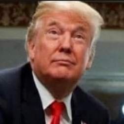 1312senegal's profile picture. 