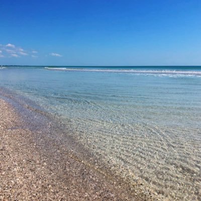 MsB0034's profile picture. 