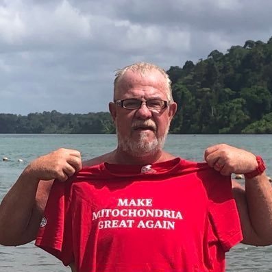 I am a neurosurgeon on a mission to create health from disease by decentralized thinking & BTC! Bitcoin pleb decade club in exile https://t.co/s3u0fsXzbV