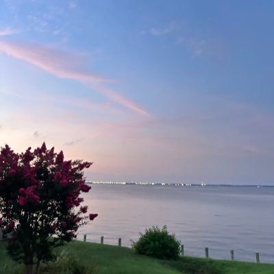 iamelizbeth_'s profile picture. —