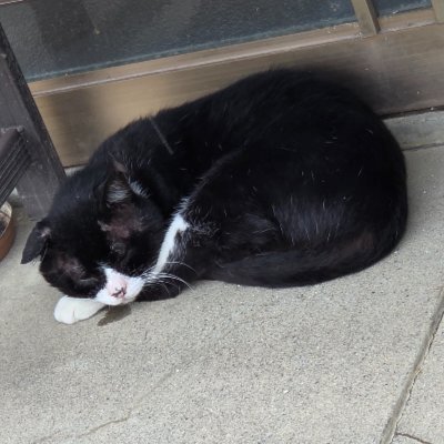 sakaki2451's profile picture.
