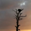 alan thames - @AlanThames28433 - Twitter