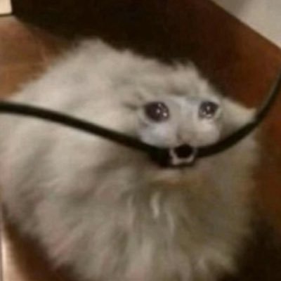 SydK365429's profile picture. 